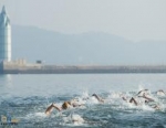 2012 Tongyeong ITU Triathlon World Cup