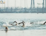 2012 Tongyeong ITU Triathlon World Cup