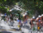 2012 Dextro Energy World Triathlon Sydney