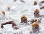 2012 Tiszaujvaros ITU Triathlon World Cup