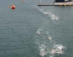 2005 Wakayama ITU Triathlon Asian Cup