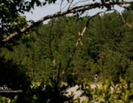 2012 Shelby County ITU Cross Triathlon World Championships and XTERRA Southeast Championship