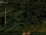 2012 Shelby County ITU Cross Triathlon World Championships and XTERRA Southeast Championship