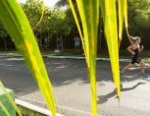 2012 Cancun ITU Triathlon World Cup