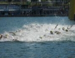2011 Vienna ETU Triathlon Junior European Cup