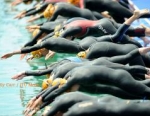 2011 Auckland ITU Triathlon World Cup
