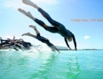 2011 Auckland ITU Triathlon World Cup