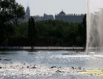 2005 Madrid ITU Triathlon World Cup