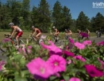 2012 Edmonton ITU Triathlon World Cup