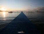 2011 Alanya ITU Triathlon Premium European Cup