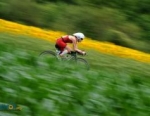 2012 Vitoria-Gasteiz ITU Long Distance Triathlon World Championships