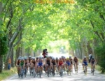 2012 ITU World Triathlon Madrid