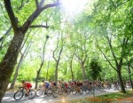 2012 ITU World Triathlon Madrid