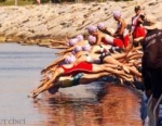 2012 Istanbul ITU Triathlon European Cup