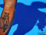 2011 Tiszaujvaros ITU Triathlon World Cup