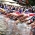 2012 Photo of the Year - Week Four: Kitzbühel