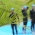 ITU’s commission gets a green light for sustainability