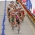 2012 ITU World Cup season continues in Ishigaki