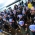 Age-groupers make history in Auckland 2012 World Championship