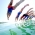 London 2012 Olympic Games: Men’s Pontoon Draw