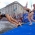 Race for 2012 ITU World Triathlon series title heats up in Hamburg