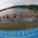 Edmonton awarded 2014 ITU World Triathlon Series Grand Final
