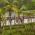 World Cup Action Continues with Challenging Course in Guatape