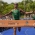 Mexico sweeps gold and silver at final ITU World Cup in Cancun