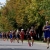 Tiszaujvaros World Cup Preview