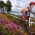 Spain dominate Paratriathlon at ITU Cross Triathlon World Championships