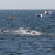 2011 Maputo ATU Triathlon African Championships