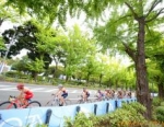2012 ITU World Triathlon Yokohama
