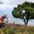ETU Cross Triathlon European Championships - Announcement