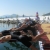 2009 Egirdir ETU Triathlon Junior European Cup