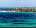 2005 San Andres ITU Triathlon Pan American Cup