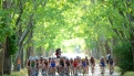 The Tri-Angle: Madrid 2013 Race Preview