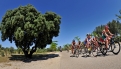 2013 Madrid WTS: Elite Women's Highlights