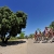 2013 Madrid WTS: Elite Women’s Highlights