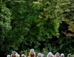 2011 Dextro Energy Triathlon - ITU World Championship Series London
