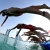 The Social Story of #WTSAbuDhabi