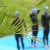 ITU’s commission gets a green light for sustainability