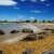 Devonport to host 2012 Continental Championships