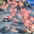 ITU unveils 2015 World Triathlon Series schedule