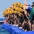 Heated battle awaits for Men’s World Title