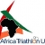 Africa Triathlon Union elects new president