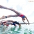 The Social Story from #WTSAuckland