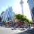 2012 Auckland Grand Final Preview: What’s in store for the week