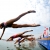 2017 ITU Triathlon World Cup schedule released