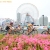 Women return podium for WTS Yokohama