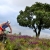 ITU President joins the IOC’s Olympic Movement for a Greener Future
